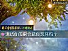 《测试你<i>闺蜜</i>会把你玩坏吗?》测试