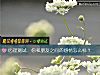 《心理测试:你和<i>朋友</i>之间的感情怎么样?》测试