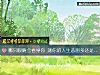 《哪只眼睛会看穿你 测你的<i>人生</i>悲剧多还是喜剧多》测试