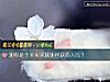 《测你是个买买买就能俘获的人吗?》测试