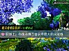 《<i>职场</i>上,你能从哪方面获得最大的成就感》测试