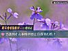 《当遇到什么事情容易让你感到心慌?》测试