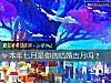 《本年七月是你的结婚吉月吗?》测试