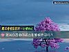 《测试你善意的谎言能够被原谅吗?》测试