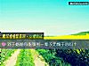 《对于婚姻你能做到一辈子无愧于心吗?》测试