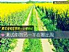 《测试你的<i>另一半</i>在哪出现》测试
