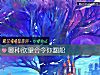 《哪种<i>欲望</i>会令你翻船》测试