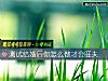 《测试结婚后你怎么做才会旺夫》测试