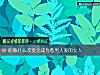 《你做什么改变会成为惹<i>男人</i>爱的女人》测试
