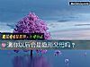 《测你<i>以后</i>会是隐形父母吗?》测试