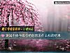 《测试不择手段会给你带来什么样的<i>结果</i>》测试