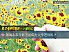 《测试未来你有可能成为大学老师吗?》测试