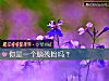 《你是一个脑残粉吗?》测试