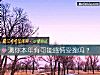 《测你本年有可能<i>感情</i>受挫吗?》测试