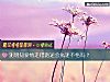 《测明知<i>爱情</i>走错路还会执迷不悟吗?》测试