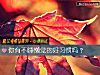 《你有不睡懒觉的好习惯吗?》测试