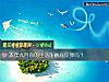 《本年九月你的<i>生活</i>能触底反弹吗?》测试