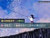 《求职无门?看看你的下巴能给你哪些启示》测试