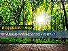 《<i>离婚</i>后你的情感生活会越来越糟吗?》测试