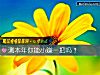 《测<i>本年</i>你能小赚一把吗?》测试