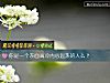 《你是一个表面高冷<i>内心</i>温热的人么?》测试