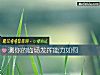 《测你的临场发挥能力如何》测试