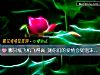 《哪只纸飞机飞得高 测你们的<i>爱情</i>会如泡沫般幻灭吗?》测试