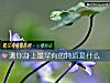 《测你<i>身上</i>最罕有的特质是什么》测试