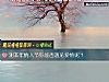 《测本年情人节你能否<i>遇见</i>爱情呢?》测试