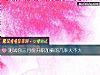 《测试你三月份<i>升职</i>加薪的几率大不大》测试