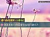 《测本年你们的<i>恋爱</i>会出现问题吗?》测试