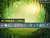 《懒得出油的你会一辈子平庸吗?》测试