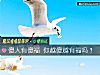 《傻人有傻福 你越傻越有福吗?》测试