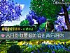 《六月份你要提防谁在背后阴你》测试
