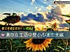 《测你在<i>生活</i>中要小心哪些亲戚》测试