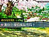 《测你会<i>嫁给</i>属鼠男吗?》测试