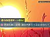 《想拥有哪只宠物 测你男神会主动追求你吗?》测试