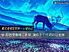 《你<i>想要</i>哪棵三叶草 测你下个月的好运指数》测试
