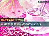《测未来你婚后的福气有多少》测试