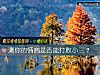 《测你的情商是否能打败<i>小三</i>?》测试