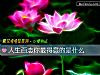 《<i>人生</i>百态你最得意的是什么》测试