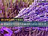 《测试你父母会因为亲戚的闲言碎语对你失望吗?》测试