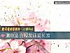 《测你适合短发还是长发》测试