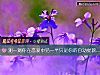《测一测你在恋爱中<i>另一半</i>只是你的自动提款机吗?》测试