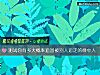 《测试你有多大概率追回被别人追走的<i>意中人</i>》测试
