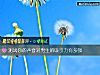 《测试你的声音对男生的<i>吸引</i>力有多强》测试