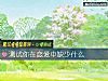 《测试你在<i>恋爱</i>中缺少什么》测试