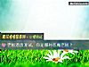《老板潜质测试，你是哪种恶魔老板？》测试