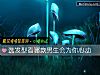 《选发型看哪款男生会为你心动》测试