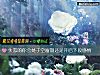 《<i>失恋</i>的你会处于空窗期还是开启下段感情》测试